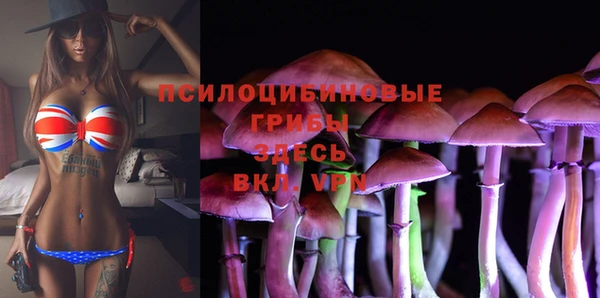 спайс Аркадак