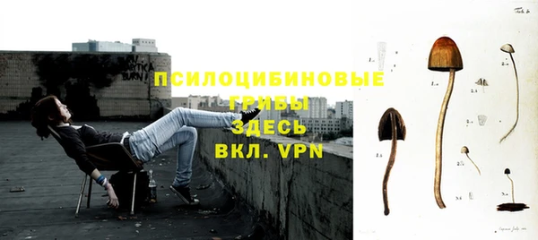 хмурый Армянск